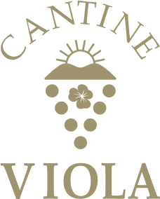 Viola